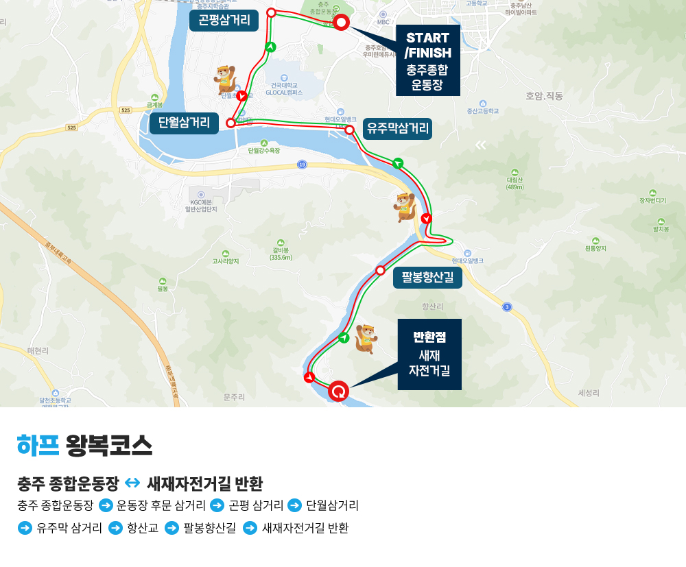하프코스이미지